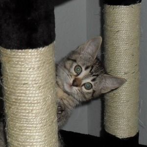 Meet your Posher, Lisa